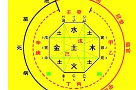 用神意思|八字入门基础 第六篇 如何判断八字喜用神